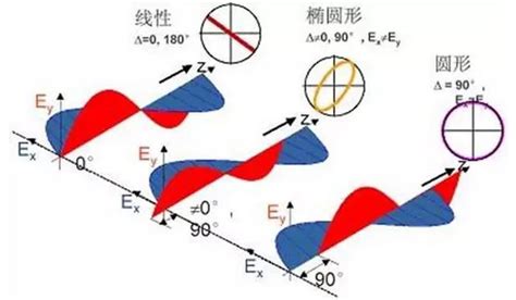 左旋右旋判斷|線偏振、圓偏振及橢圓偏振